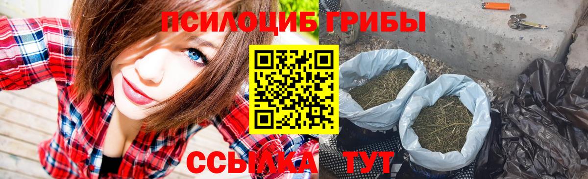Свободный  Псилоцибиновые грибы мицелий  Галлюциногенные грибы Psilocybine cubensis  Вход с VPN 